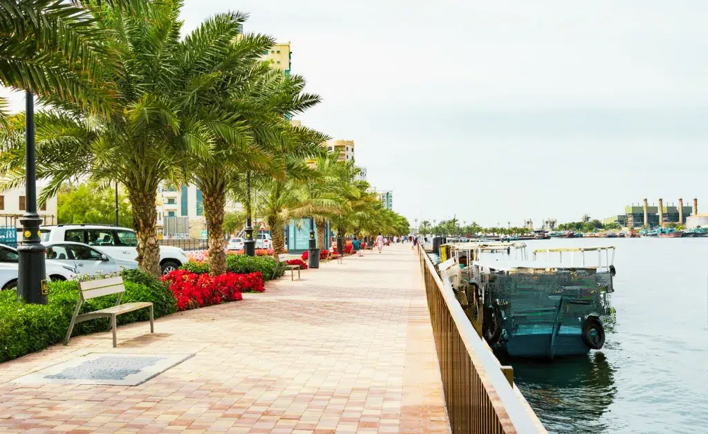 A sunny waterfront promenade with palm trees and red flowers lines a paved walkway. A bench and parked cars are on the left, and boats are docked on the right.
