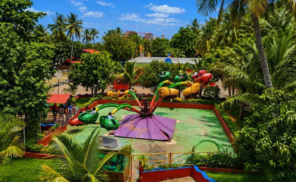 Aerial view of vibrant amusement park ride with colorful frog-shaped cars on green platform, surrounded by lush trees and a clear blue sky.
